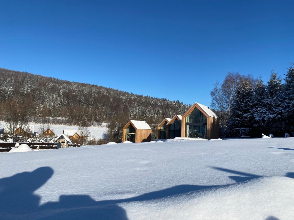 Domki Pod Lasem - Domek Brzozowy Stronie Śląskie Exterior foto